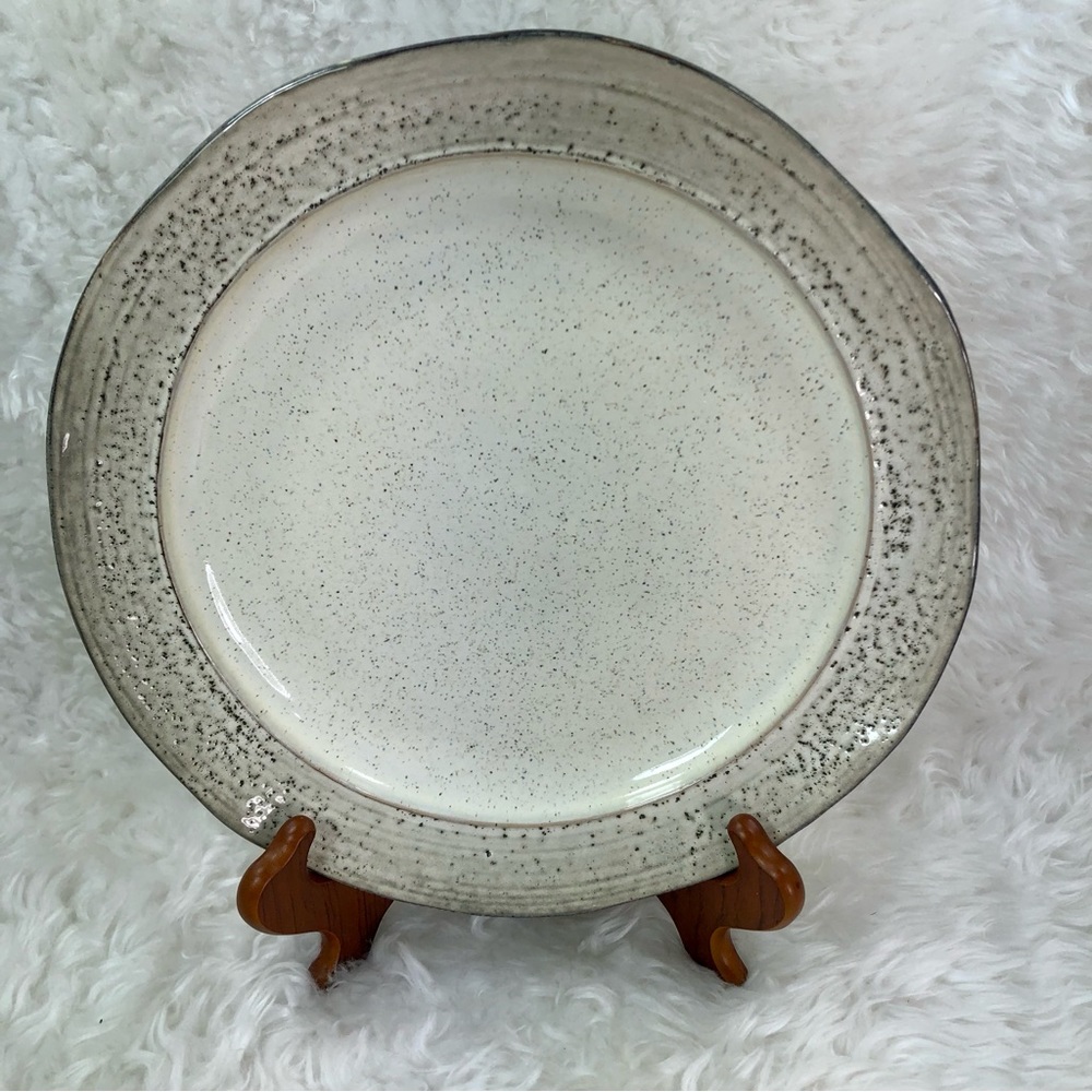 NWOT PIER 1 MIDORI STONEWARE DINNER PLATE 10.5”